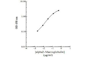 Image no. 1 for alpha-2-Macroglobulin (A2M) ELISA Kit (ABIN2683305)