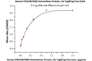 Image no. 3 for ITGAV/ITGB3 (ITGAV/ITGB3) (AA 31-992) (Active) protein (His tag) (ABIN2870663)