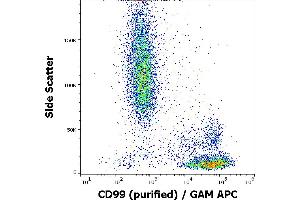 Image no. 1 for anti-CD99 (CD99) antibody (ABIN1027667)