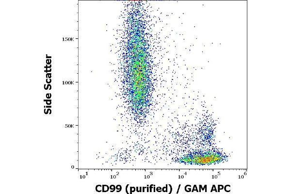anti-CD99 (CD99) antibody