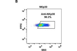 NCR3 抗体  (AA 19-135)
