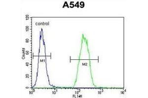 Image no. 1 for anti-Sorting Nexin 24 (SNX24) (AA 21-51), (N-Term) antibody (ABIN954889)