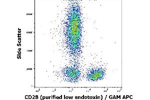 Image no. 1 for anti-CD28 (CD28) antibody (ABIN638435)