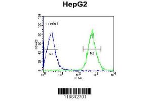 Image no. 3 for anti-Cyclin-Dependent Kinase 14 (CDK14) (AA 67-96), (N-Term) antibody (ABIN390748)