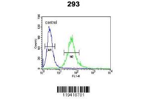 Image no. 3 for anti-Carcinoembryonic Antigen Gene Family (CEA) (AA 400-429) antibody (ABIN390407)