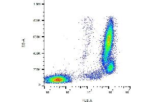 Flow cytometry analysis (surface staining) of human peripheral blood leukocytes with anti-human CD157 (SY11B5) APC.