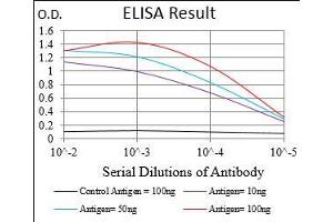Image no. 1 for anti-DIS3-Like Exonuclease 2 (DIS3L2) (AA 27-250) antibody (ABIN1724900)