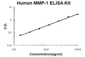 Image no. 1 for Matrix Metallopeptidase 1 (Interstitial Collagenase) (MMP1) ELISA Kit (ABIN411327)