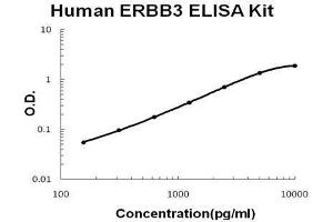 Image no. 1 for Receptor Tyrosine-Protein Kinase ErbB-3 (ERBB3) ELISA Kit (ABIN2859250)