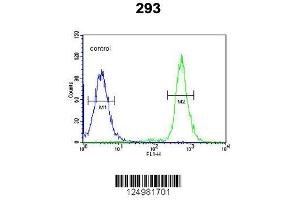 Image no. 1 for anti-alpha-2-Macroglobulin-Like 1 (A2ML1) (AA 345-373), (N-Term) antibody (ABIN650922)