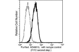 Image no. 2 for anti-ADAM Metallopeptidase Domain 15 (ADAM15) (AA 1-696) antibody (ABIN2649233)