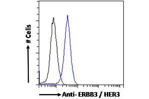 Image no. 3 for anti-Receptor Tyrosine-Protein Kinase ErbB-3 (ERBB3) (C-Term) antibody (ABIN185461)