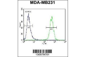 Image no. 2 for anti-HERV-H LTR-Associating 2 (HHLA2) (AA 58-87) antibody (ABIN654607)