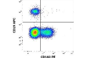 Image no. 3 for anti-CD160 (CD160) antibody (PE) (ABIN1981901)