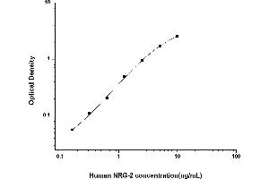Image no. 1 for Neuregulin 2 (NRG2) ELISA Kit (ABIN6962145)