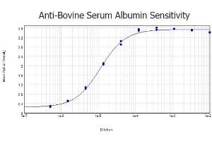 Image no. 1 for anti-Bovine Serum Albumin (BSA) antibody (ABIN1607851)