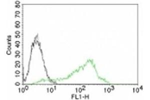 Flow Cytometry (FACS) image for anti-Nucleolin (NCL) antibody (ABIN3025709)
