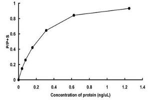 HIPK3 Protein (AA 161-562) (GST tag)