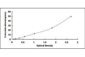 UQCR11 ELISA Kit