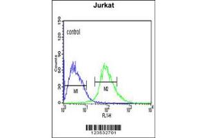 Flow Cytometry (FACS) image for anti-Calcium Activated Nucleotidase 1 (CANT1) antibody (ABIN2158035)