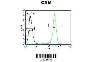 Image no. 1 for anti-Coiled-Coil Domain Containing 122 (CCDC122) (AA 203-231), (C-Term) antibody (ABIN654810)