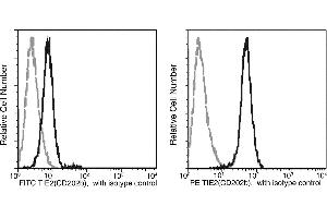 Image no. 1 for anti-TEK Tyrosine Kinase, Endothelial (TEK) (AA 1-745) antibody (FITC) (ABIN1997301)