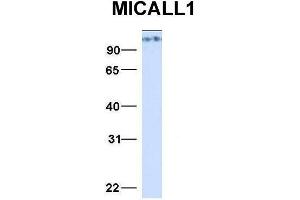Micala Micala
