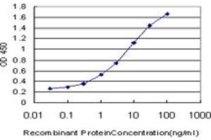 Image no. 2 for anti-A Kinase (PRKA) Anchor Protein 4 (AKAP4) (AA 1-100) antibody (ABIN563841)