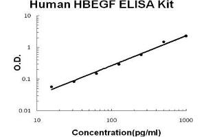 Image no. 1 for Heparin-Binding EGF-Like Growth Factor (HBEGF) ELISA Kit (ABIN1672797)