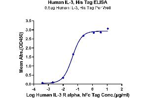 IL-3 Protein (His-Avi Tag)