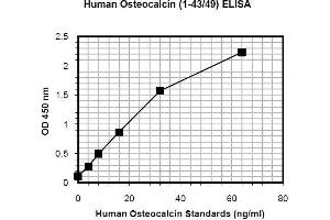 Image no. 1 for Osteocalcin (BGLAP) ELISA Kit (ABIN1305168)