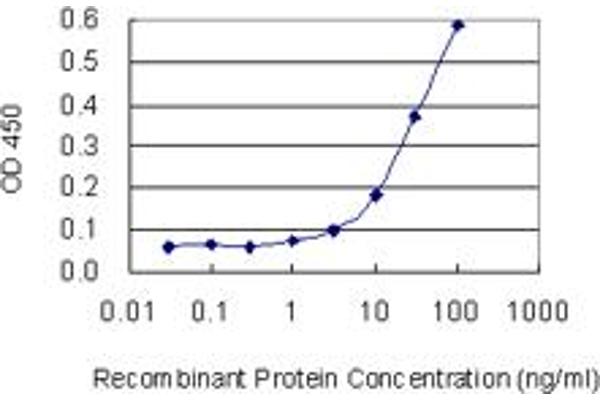 anti-Solute Carrier Family 25 (Mitochondrial Carrier, Oxoglutarate Carrier), Member 11 (SLC25A11) (AA 1-314) antibody