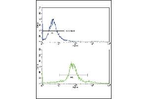 Flow cytometric analysis of widr cells using ETV4 Antibody (C-term)(bottom histogram) compared to a negative control cell (top histogram)FITC-conjugated goat-anti-rabbit secondary antibodies were used for the analysis.