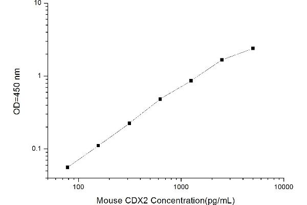 CDX2 ELISA Kit