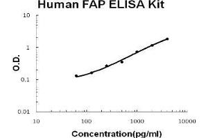 Human Seprase/FAP PicoKine ELISA Kit standard curve