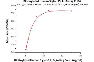 Image no. 1 for Sialic Acid Binding Ig-Like Lectin 15 (SIGLEC15) (AA 20-263) (Active) protein (Fc Tag,AVI tag,Biotin) (ABIN6923188)