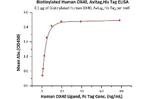 Immobilized Biotinylated Human OX40, Avitag,His Tag (ABIN5526607,ABIN5526608) at 1 μg/mL (100 μL/well) on Streptavidin  precoated (0.