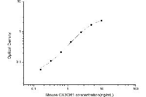 Image no. 1 for Chemokine (C-X3-C Motif) Receptor 1 (CX3CR1) ELISA Kit (ABIN6962835)