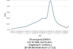 Size-exclusion chromatography-High Pressure Liquid Chromatography (SEC-HPLC) image for Desmoglein 1 (DSG1) (AA 50-548) protein (His tag) (ABIN3079162)