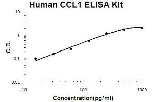 Image no. 1 for Chemokine (C-C Motif) Ligand 1 (CCL1) ELISA Kit (ABIN1672757)