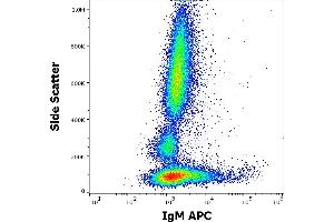 Flow cytometry surface staining pattern of human peripheral whole blood stained using anti-human IgM (CH2) APC antibody (concentration in sample 0,6 μg/mL).