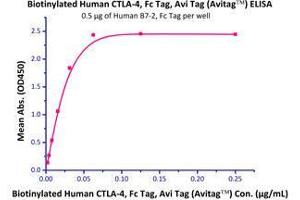 Image no. 3 for Cytotoxic T-Lymphocyte-Associated Protein 4 (CTLA4) (AA 37-162) (Active) protein (Fc Tag,AVI tag,Biotin) (ABIN2870534)