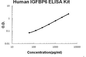 Image no. 1 for Insulin-Like Growth Factor Binding Protein 6 (IGFBP6) ELISA Kit (ABIN6720227)