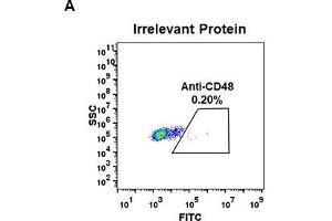 Recombinant CD48 antibody  (AA 27-220)