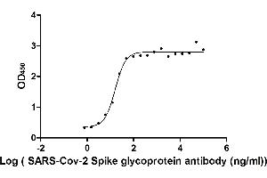 Image no. 1 for anti-SARS-CoV-2 Spike S1 antibody (ABIN6953151)