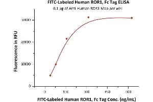 Immobilized A ROR1 Mab at 1 μg/mL (100 μL/well) can bind Fed Human ROR1, Fc Tag (ABIN6973213) with a linear range of 39-313 ng/mL (QC tested).