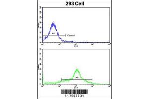 Flow Cytometry (FACS) image for anti-EH-Domain Containing 3 (EHD3) antibody (ABIN2158657)