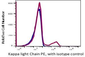 Image no. 2 for anti-kappa Light Chain antibody (PE) (ABIN5067822)