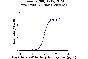 ELISA image for Interleukin 17 Receptor B (IL17RB) protein (His tag) (ABIN7274891)