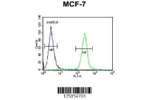 Image no. 1 for anti-Family with Sequence Similarity 20, Member A (FAM20A) (AA 48-77), (N-Term) antibody (ABIN651160)